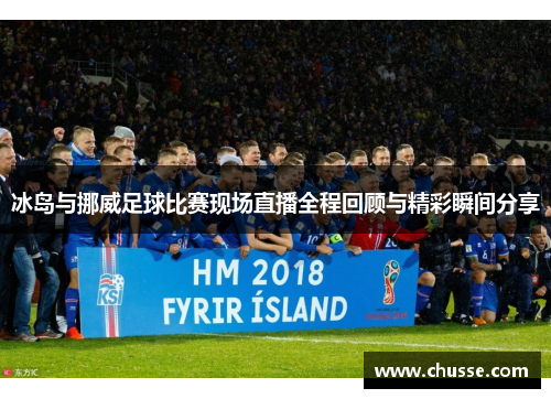 冰岛与挪威足球比赛现场直播全程回顾与精彩瞬间分享