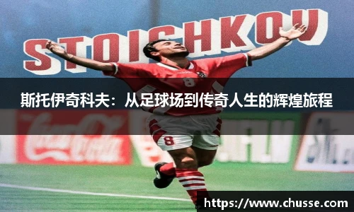 星空·综合体育中国官网