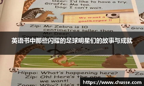 星空·综合体育官方网站